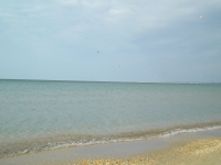 Море в Анапе